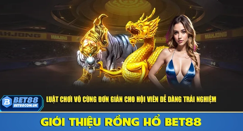 Giới thiệu sơ lược về game bài rồng hổ tại Bet88