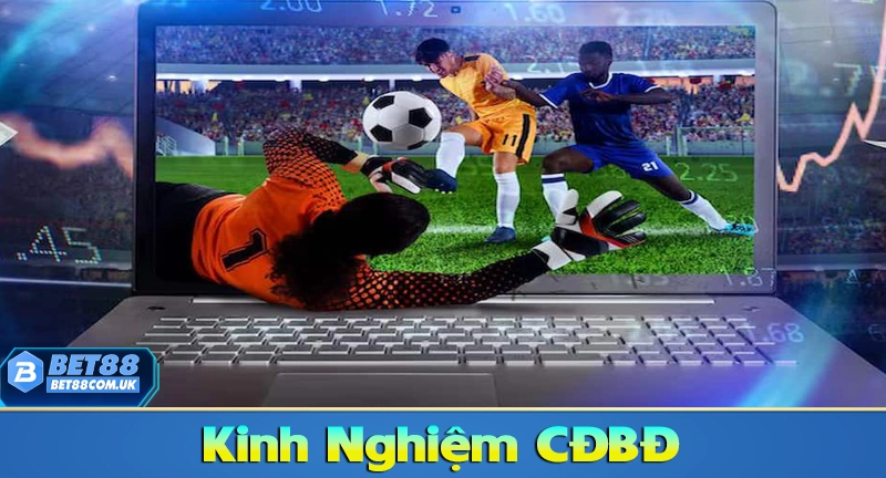 Kinh nghiệm cá độ bóng đá online cho người mới